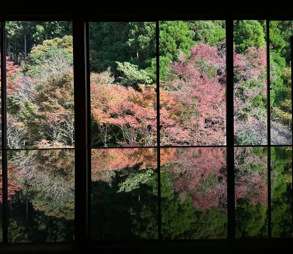 25092616531508138.png