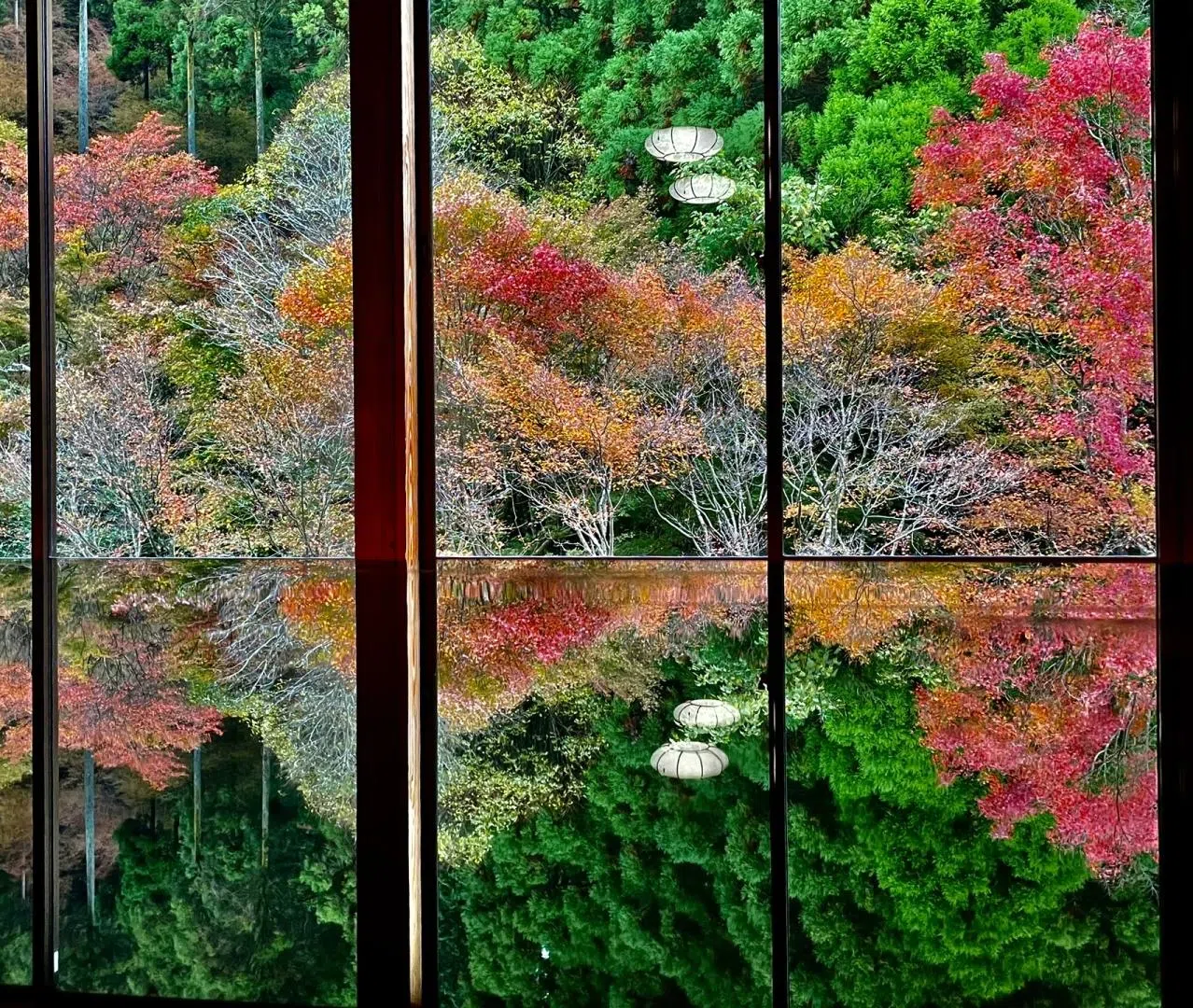 25092616531894832.png